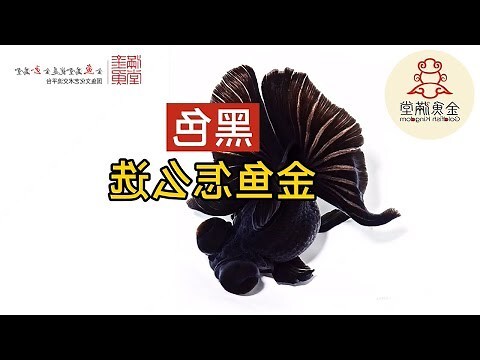 金土色