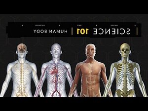 人的身體部位