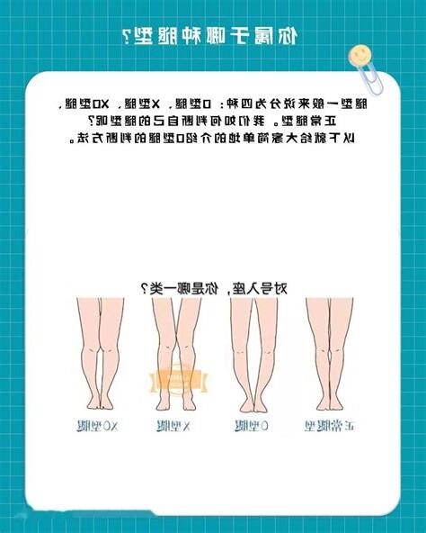 腿型分析