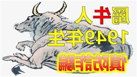 屬牛個性