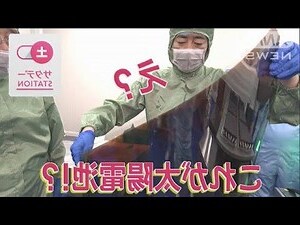 麗光