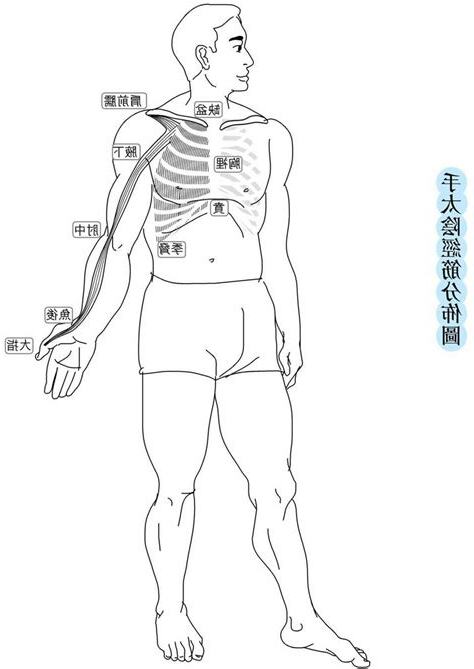 經筋
