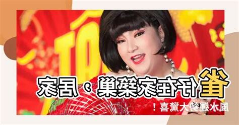雀鳥在家築巢