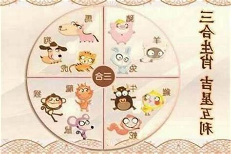 兔子的六合