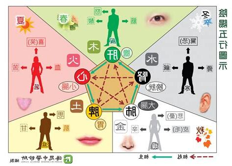陰陽五行中醫