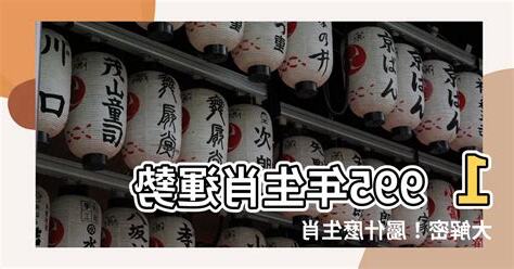 1995年是什麼年