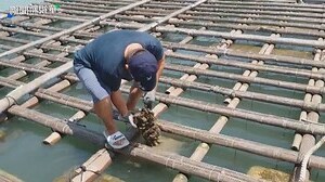 大樓幾樓最好