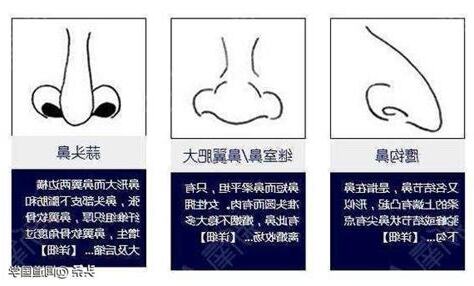 平鼻面相