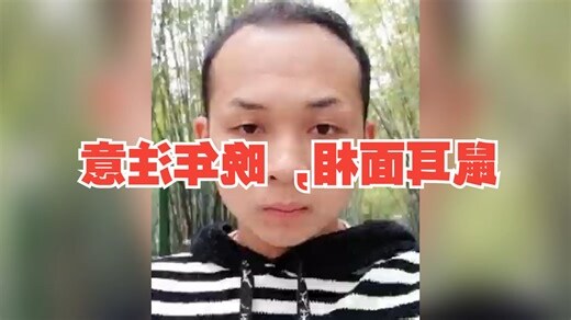 鼠耳面相