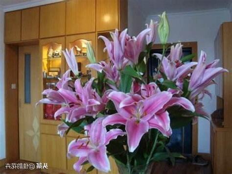 房間可以放百合花嗎