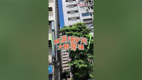店家風水