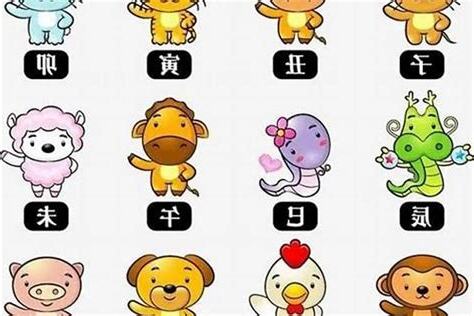 1979年属什么
