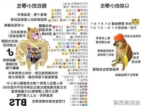 8十9是什麼意思