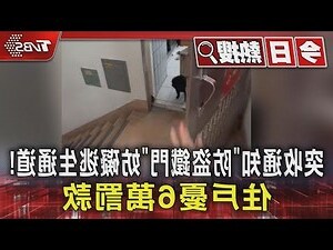 鐵門寬度