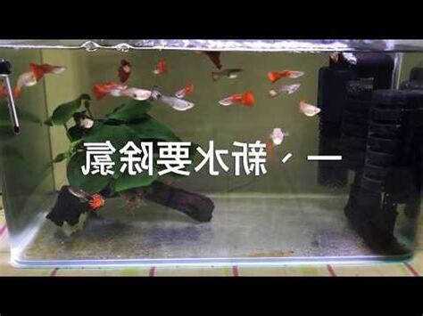 養魚方法