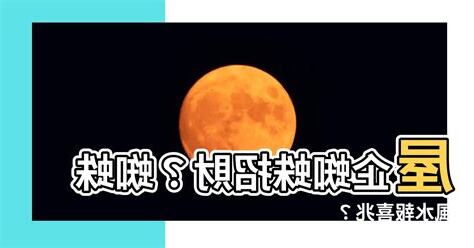 屋企蜘蛛風水