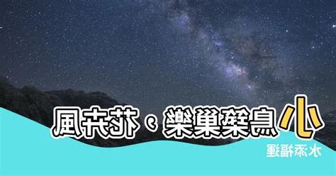 小鳥築巢風水