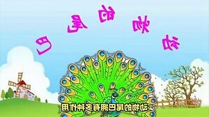兔子尾巴作用