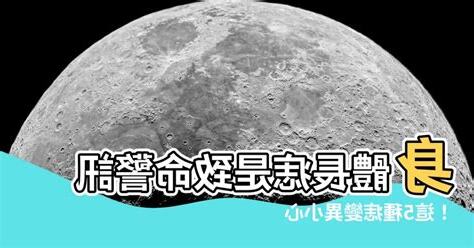 身體長痣的意義