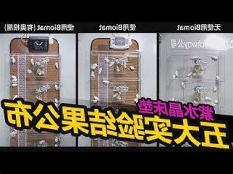 紫水晶床