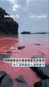 臥牛養護