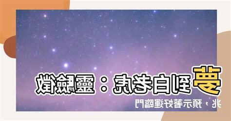 夢到白老虎
