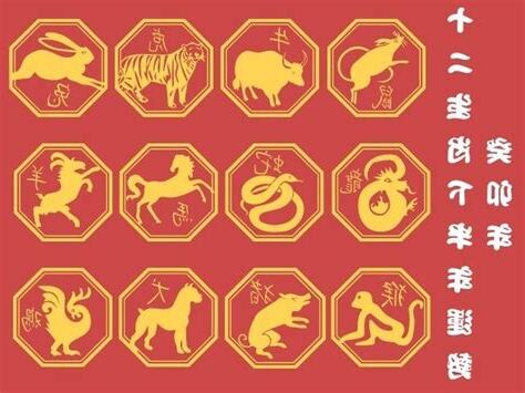 屬雞今年運勢