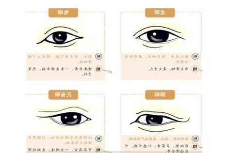 男眼睛面相