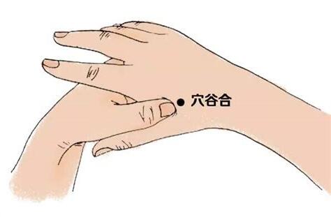合口穴
