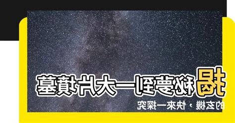 夢到一大片墳墓