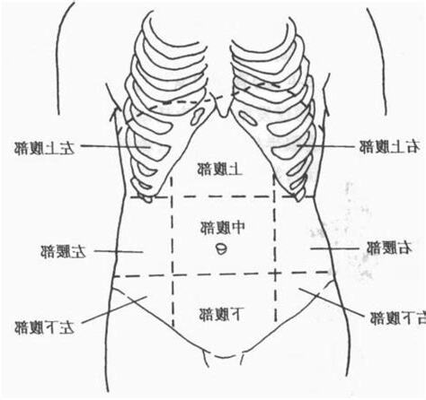 9分法