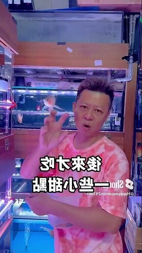 養魚會招財嗎