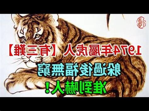 1974年屬虎男命格