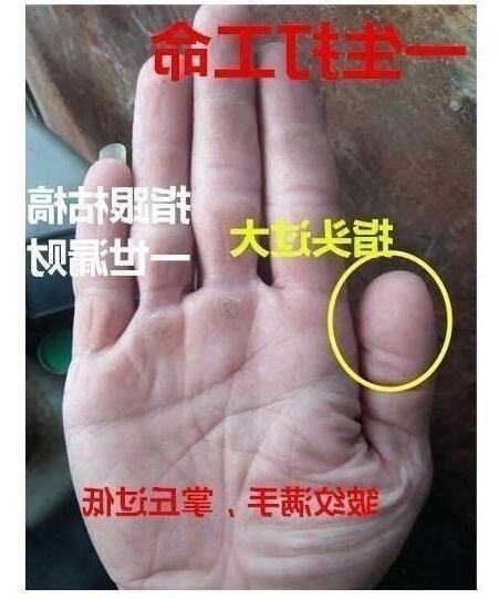 天陽玄機