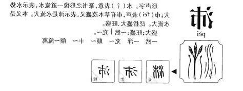 沛意思名字