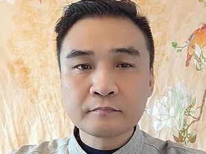 属狗适合什么颜色