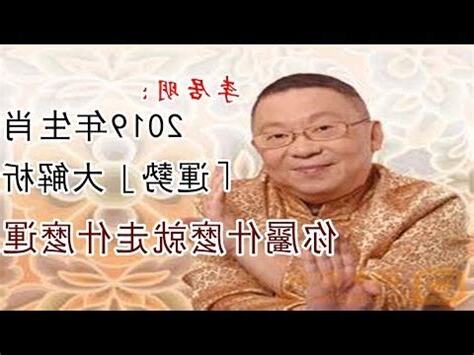 2019屬什麼