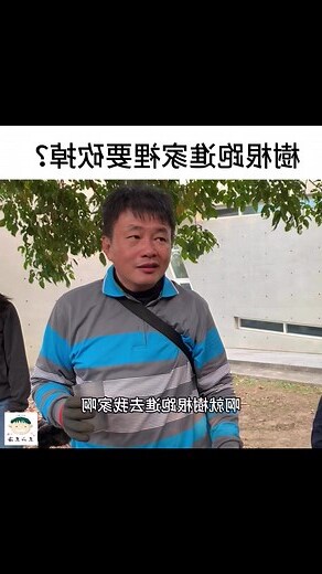 樹根長進家裡