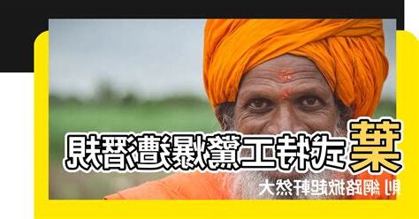 葉式特工潛規則
