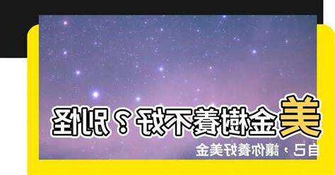 美金樹
