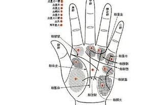 手指四道纹