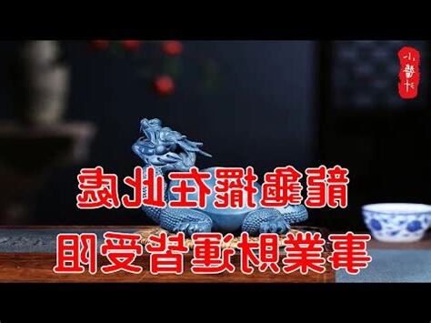 銅龍龜功效