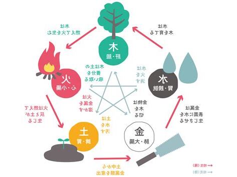 陰木五行
