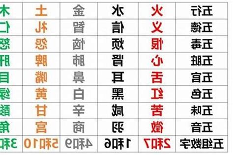 1981年五行缺什么