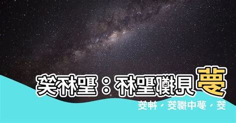 夢見擲聖杯