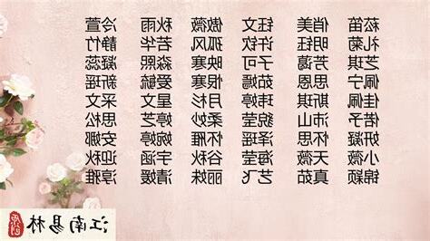子的名字
