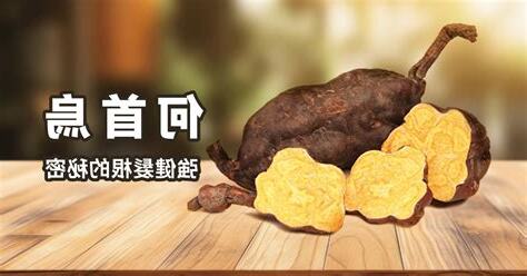 何首烏根
