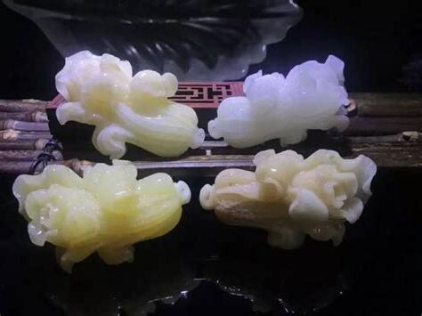 硨磲