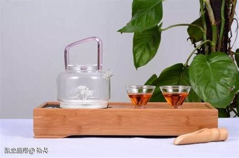 茶寵是什麼