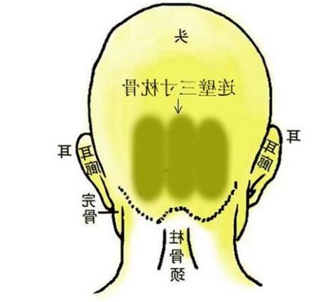頭骨面相